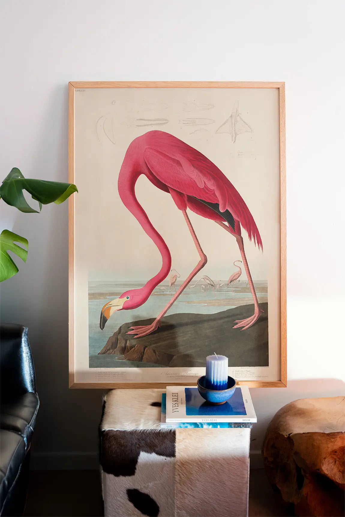 Gepasseerde flamingo print in lijst, vintage Audubon Pink Flamingo Poster decor