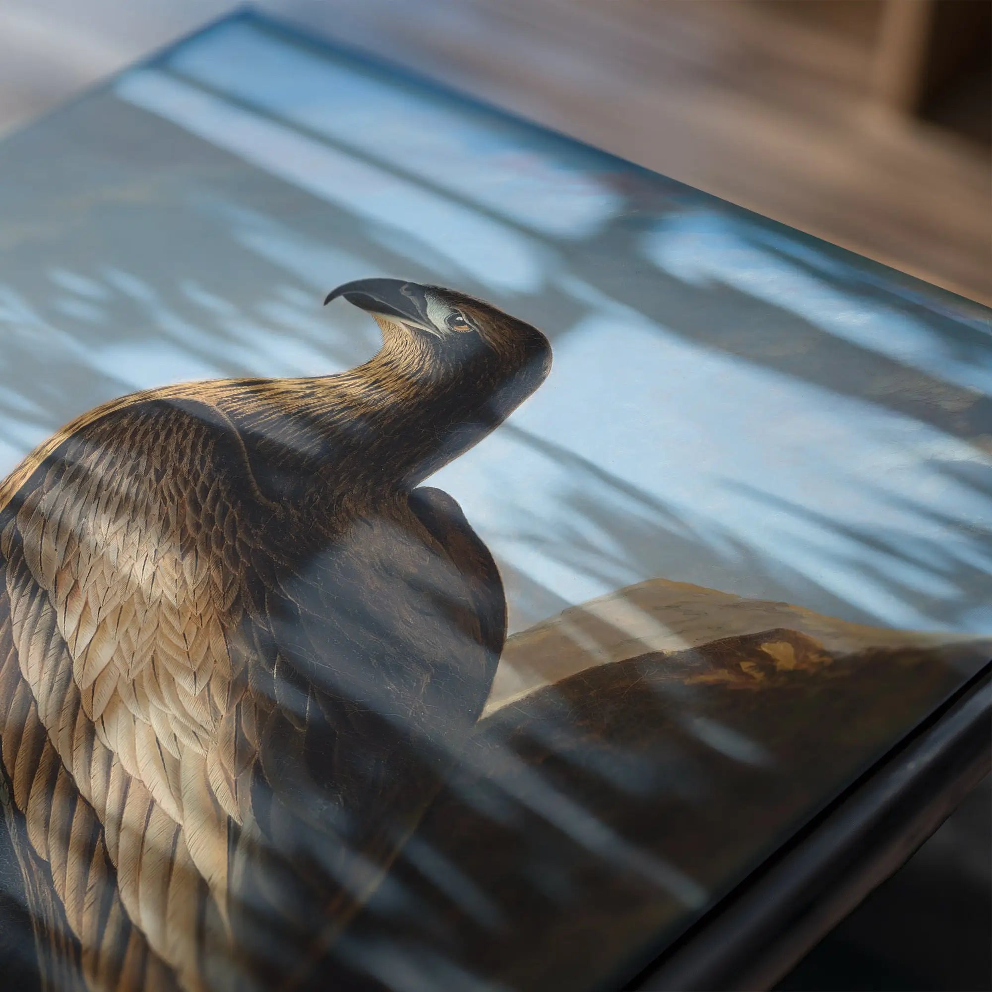 Eagle kunstwerk op een doos voor John James Audubon Zeearend Poster
