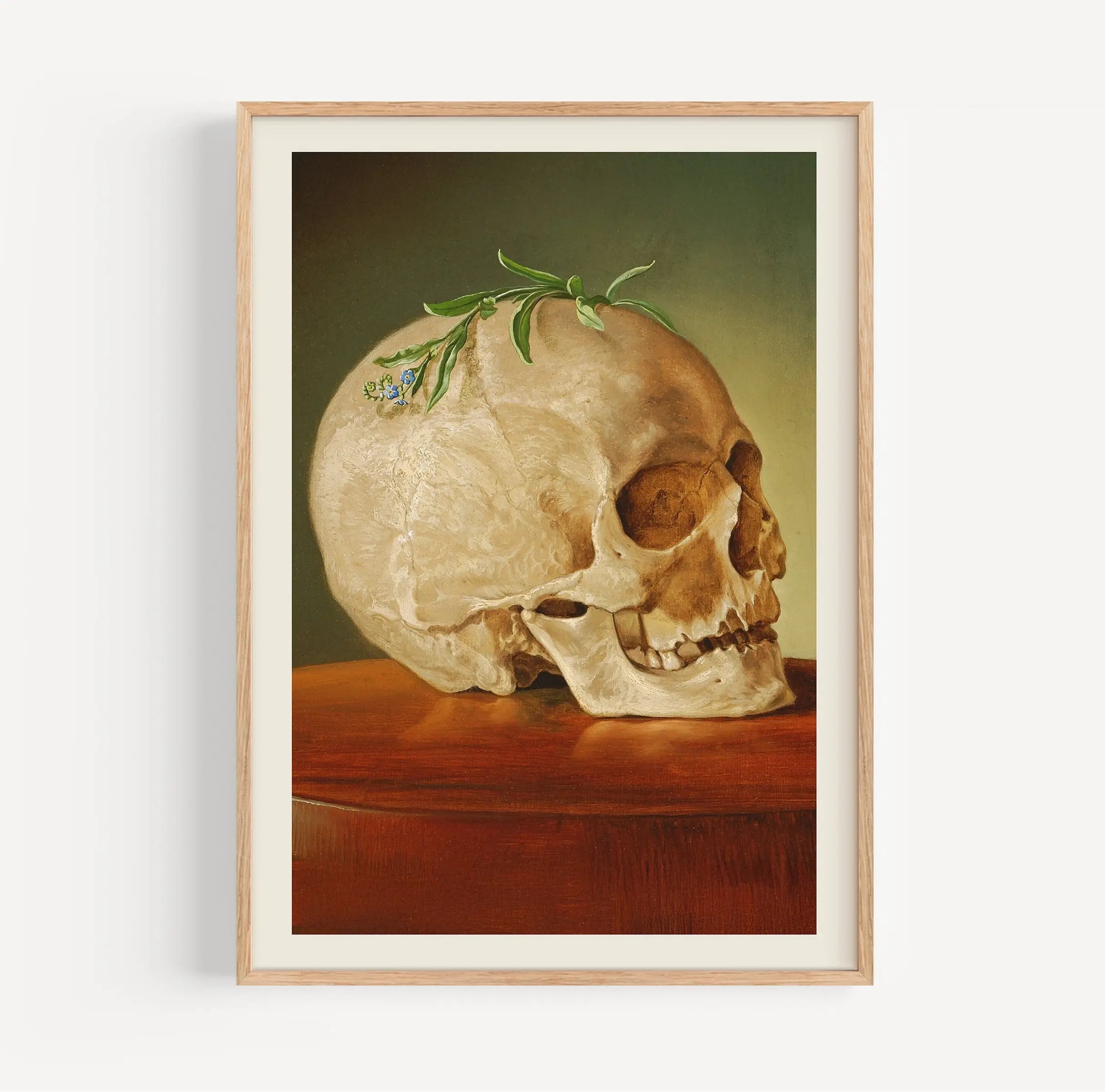 Gerapporteerde schedel met groen blad en foliage in frame bij Klimkovič Stilleven met Schedel
