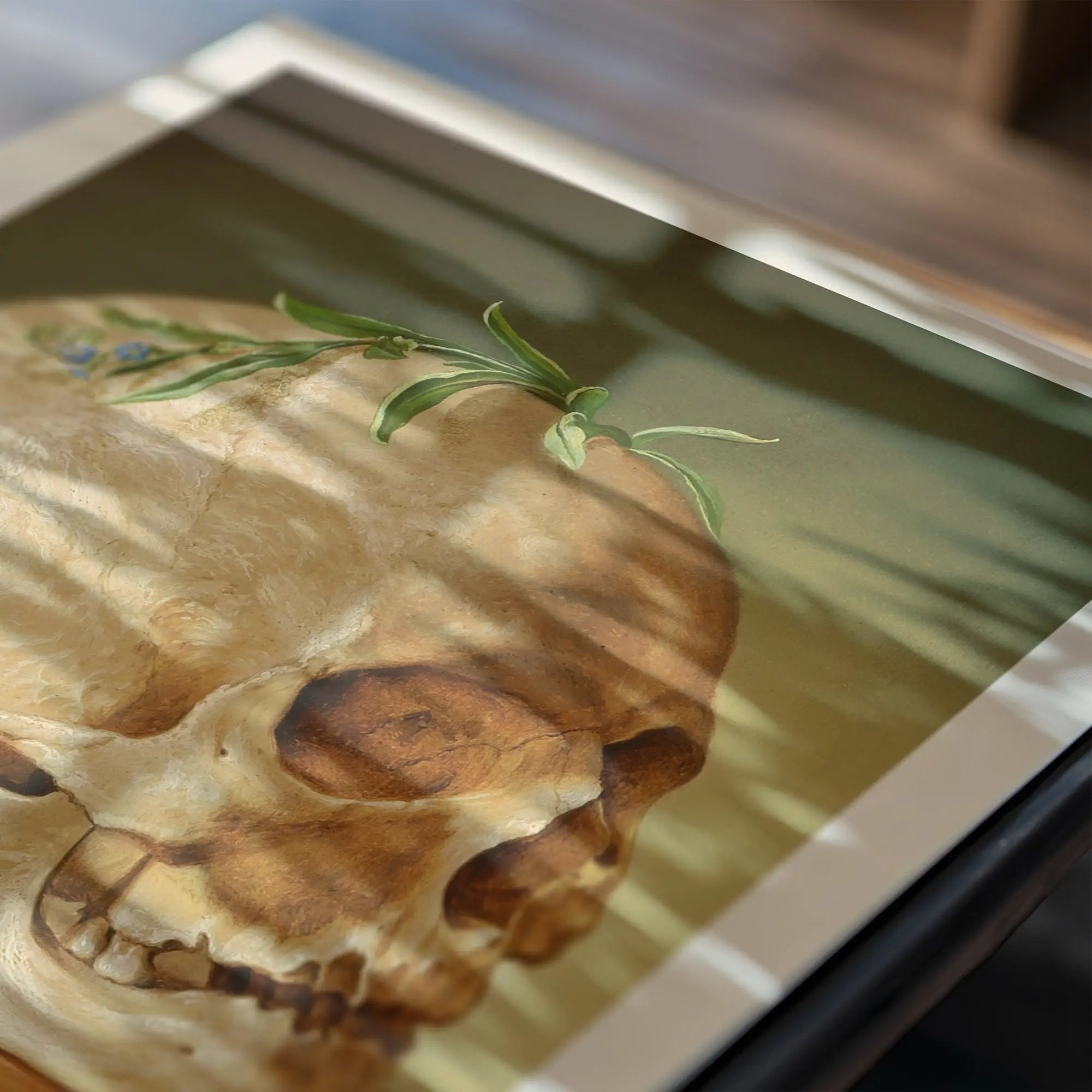 Geregeld schedel met groen blad in lijst voor Klimkovič Stilleven met Schedel