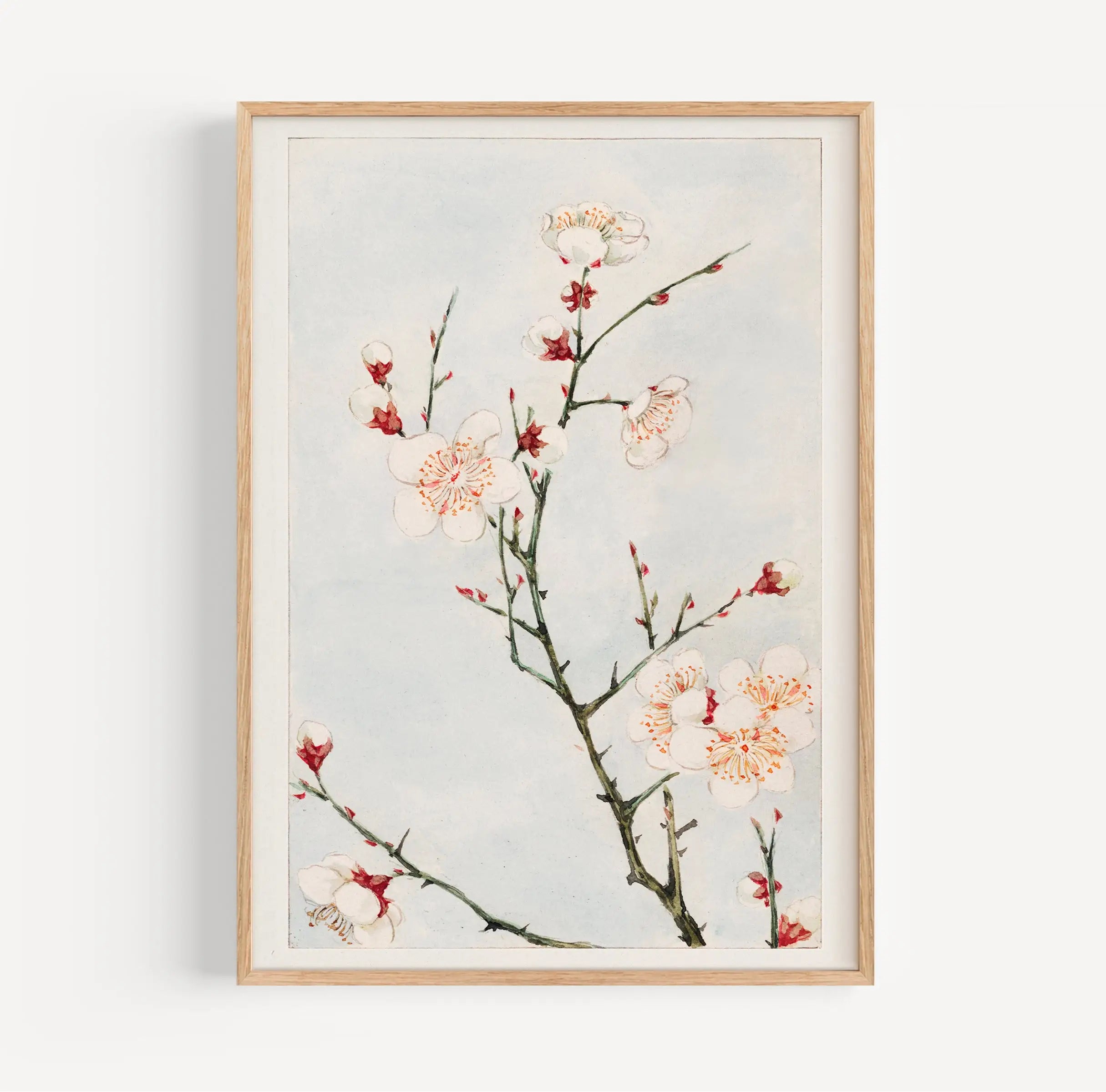 Gesproken bloemmotief in lijst voor Megata Morikaga Pruimenbloesems Poster