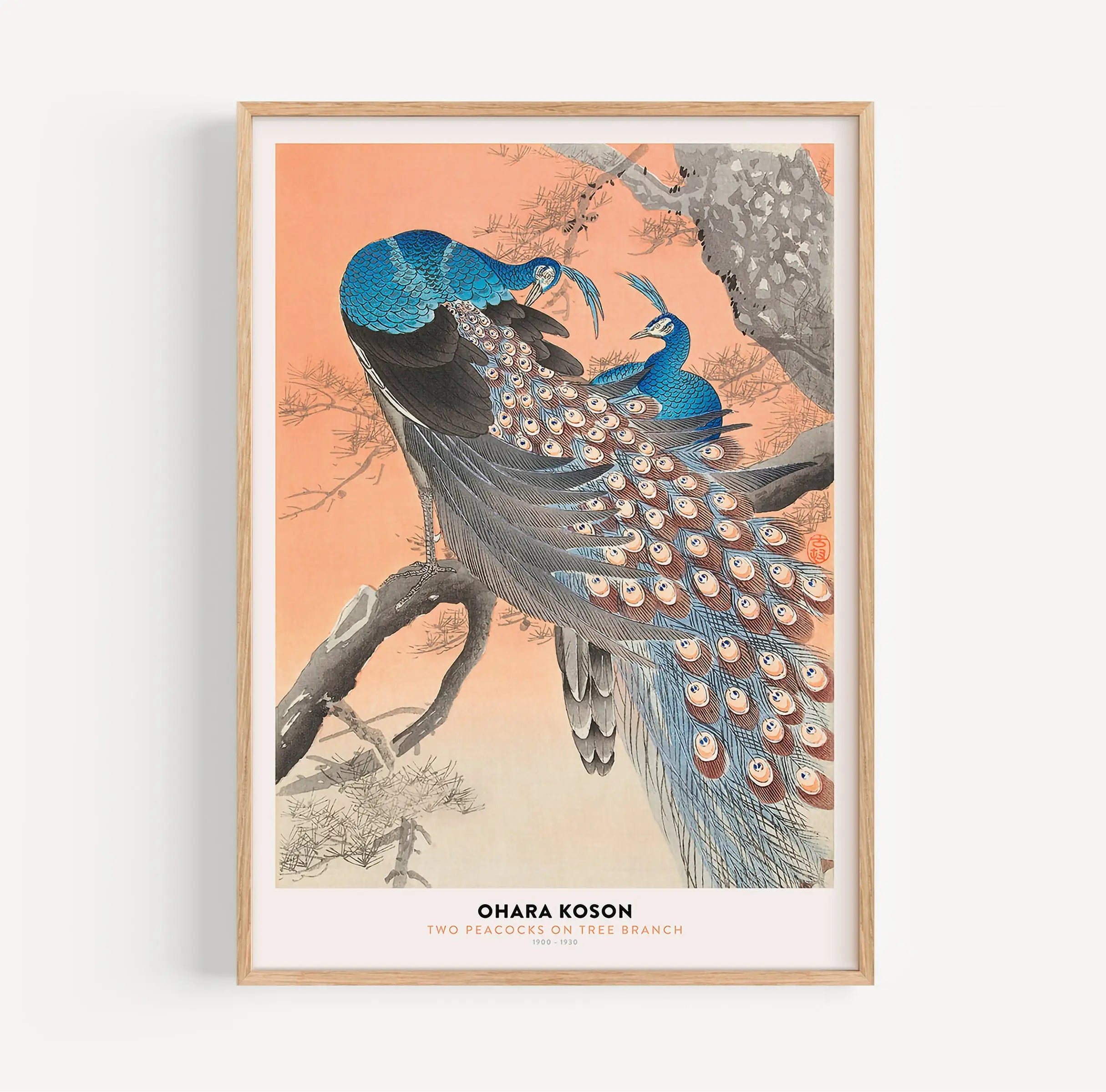 Gedetailleerde ingelijste pauwenprint van Ohara Koson Pauwen Poster