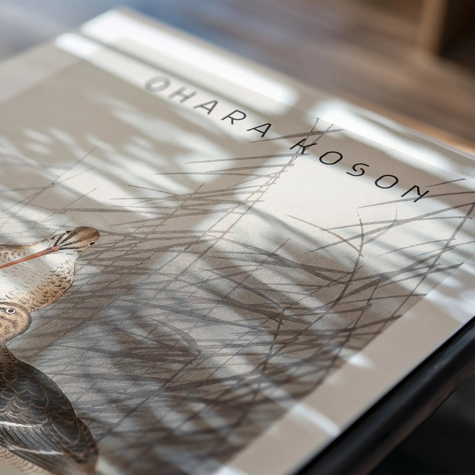 Boek met vogelillustraties getiteld Ohara Koson Twee Grutto’s Poster