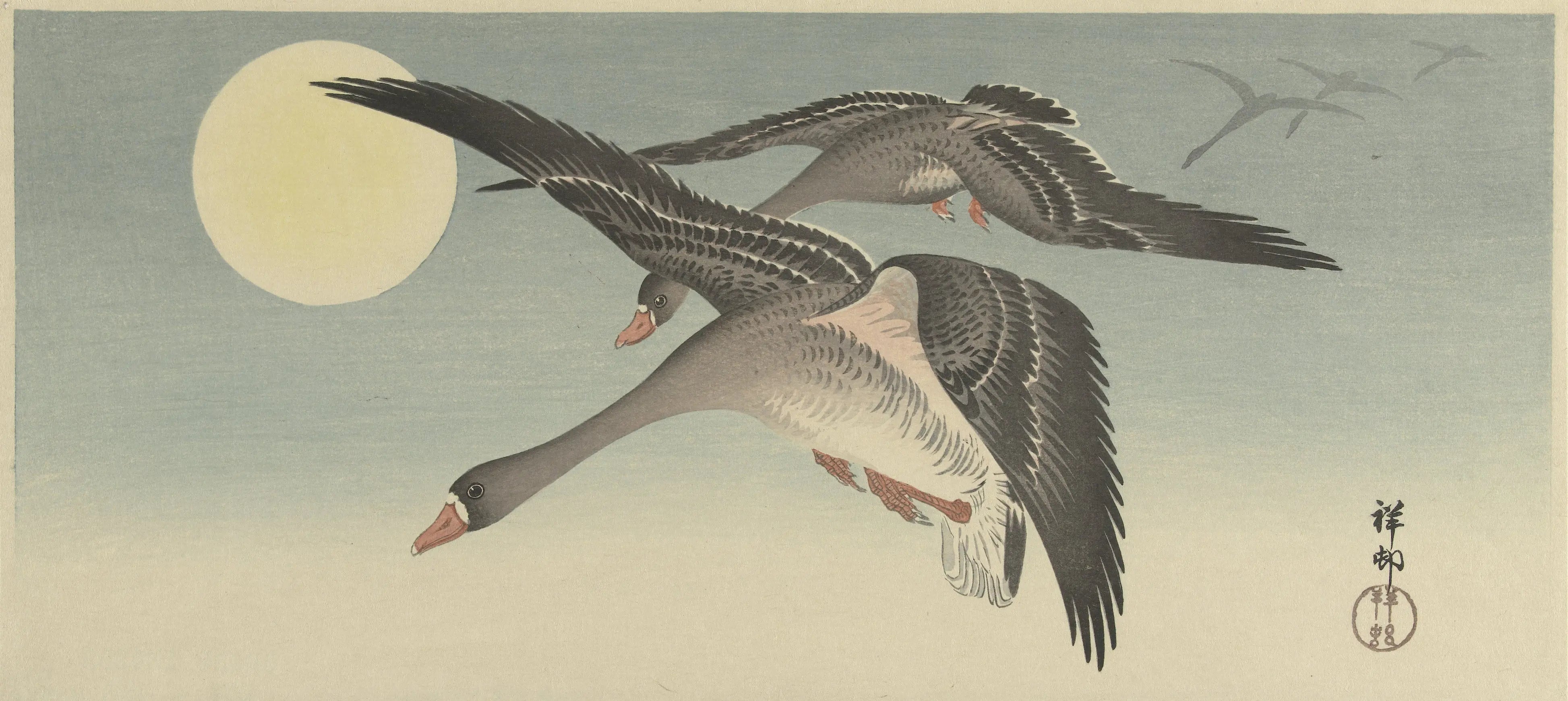 vogels geteknd door ohara koson