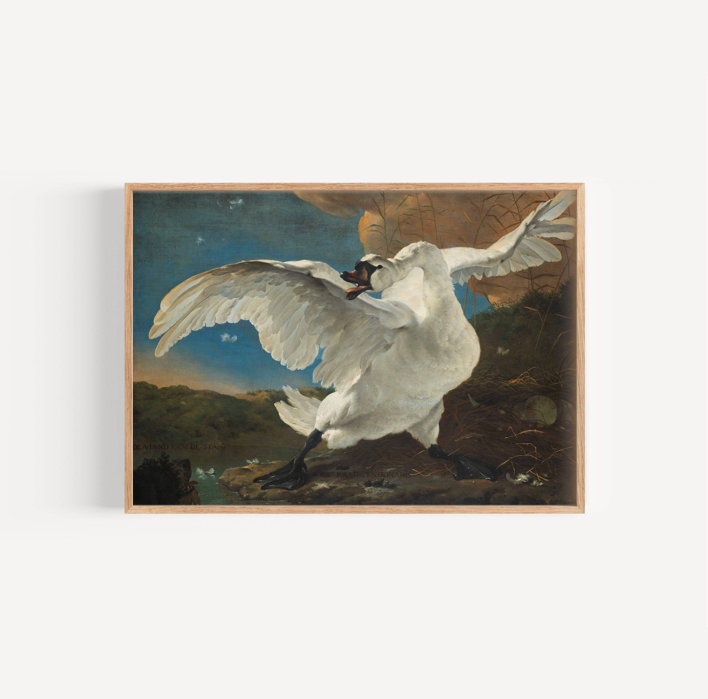 Jan Asselijn - De bedreigde zwaan poster van schilderij