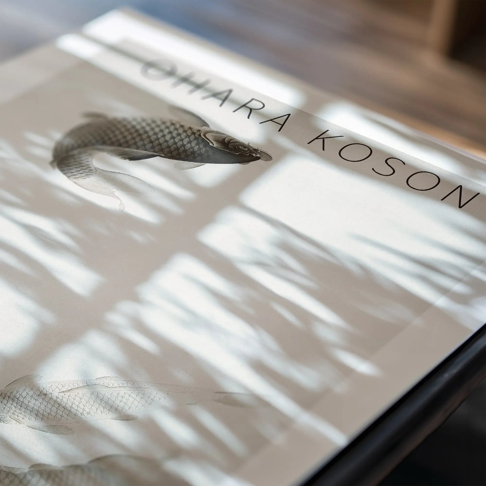 Alt tekst voor afbeelding van open boek met visillustratie op Ohara Koson Drie Karpers Poster